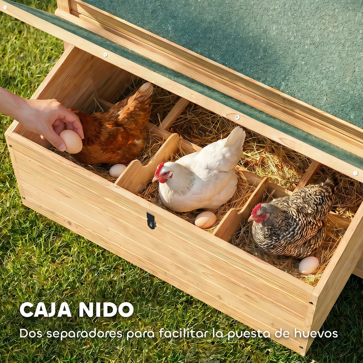 Pawhut Gallinero De Madera Para Exterior Con 2 Nidos 150x100x96,5 Cm Amarillo_5