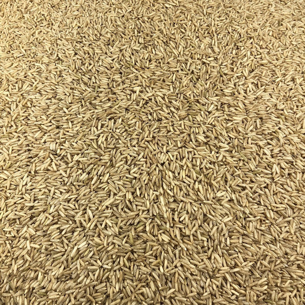 Arroz Integral Ecológico Granel 0,25 Kg_2