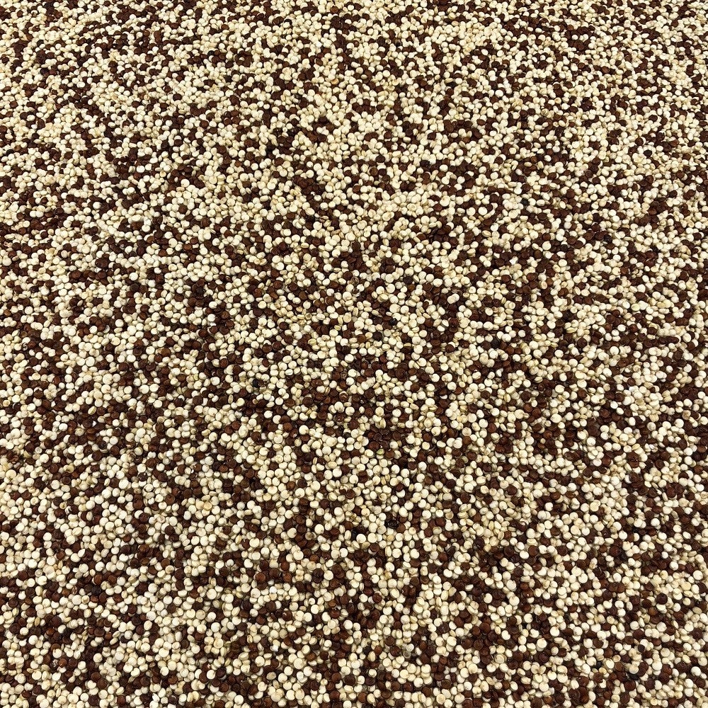 Quinoa Dúo Blanca Roja Orgánica Granel 5 Kg_2