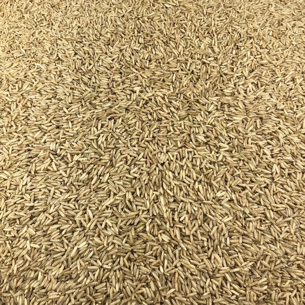Arroz Basmati Integral Ecológico A Granel 0,25 Kg_2