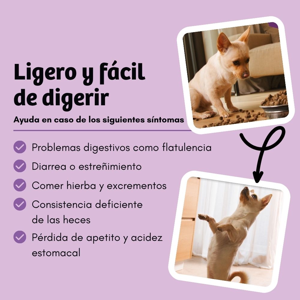 BugBell BellyVital Pienso – hipoalergénico, sin cereales, con proteína de insecto, psyllium y arándanos_3