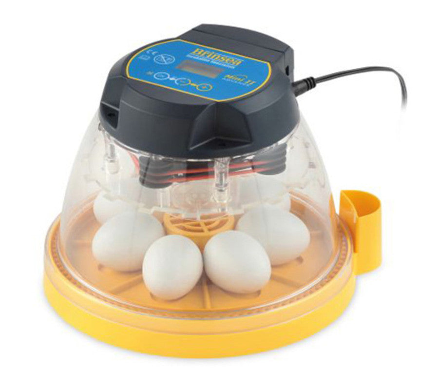Incubadora 7 Huevos Brinsea Mini II Advance. Incubadora Automática, Digital Con Volteo Automático_0