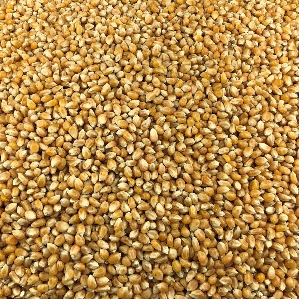 Palomitas De Maíz Ecológicas Granel 1 Kg_2