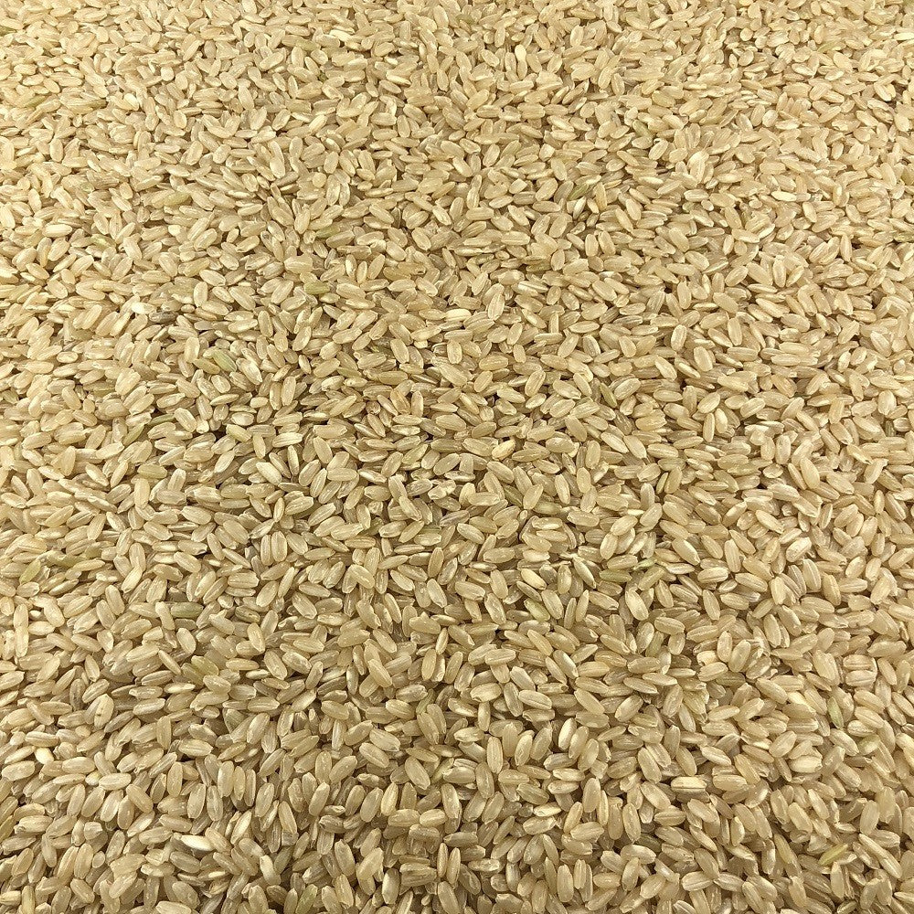 Arroz Integral Ecológico Granel 0,25 Kg_2