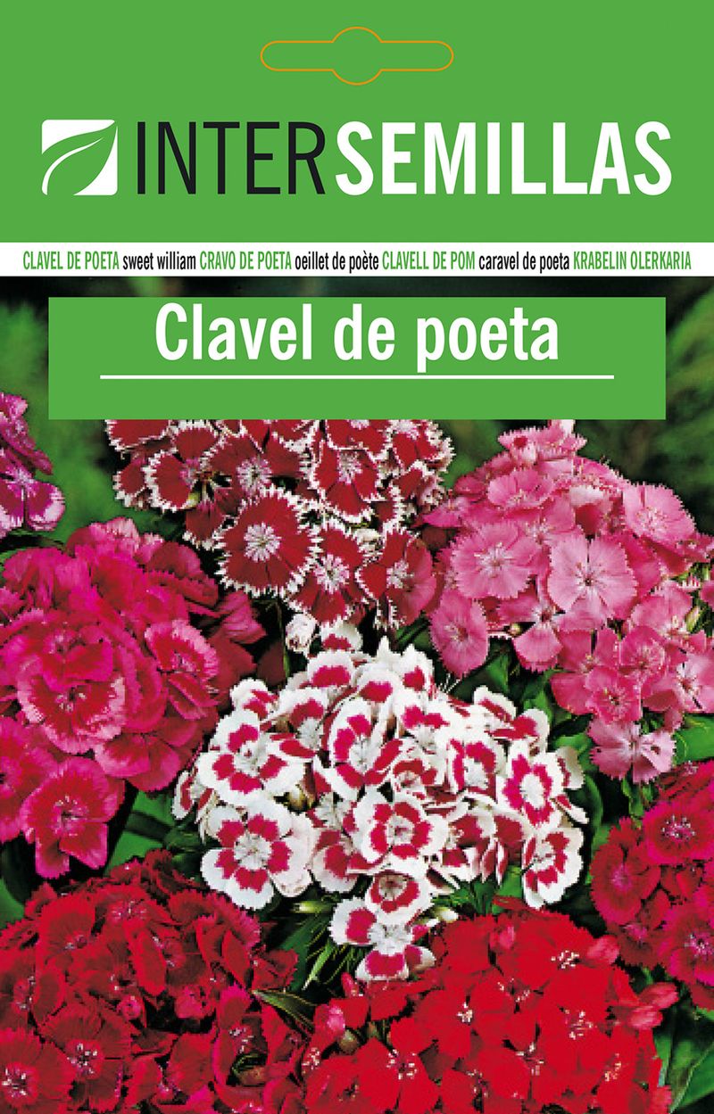 Sobre De Semillas De Clavel De Poeta_0