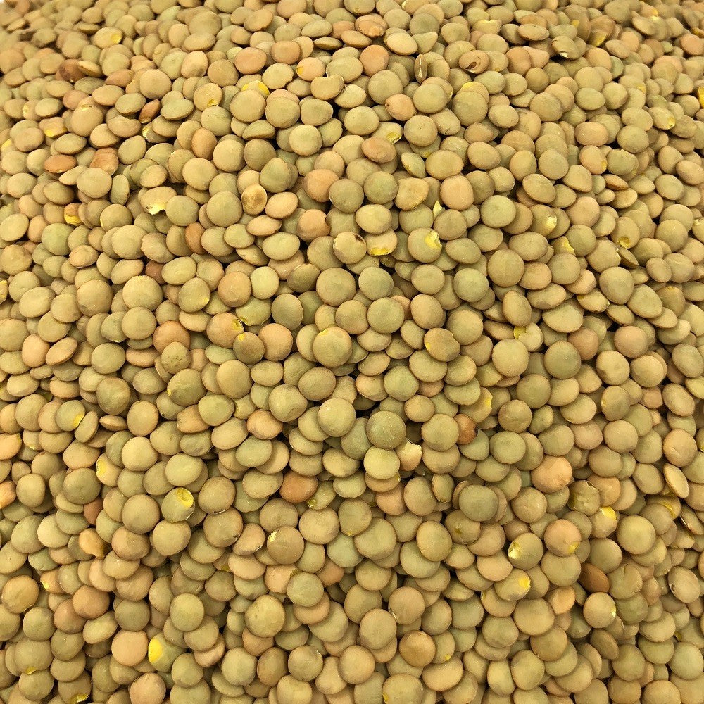 Lenteja Rubia Ecológica Granel 0,25 Kg_2