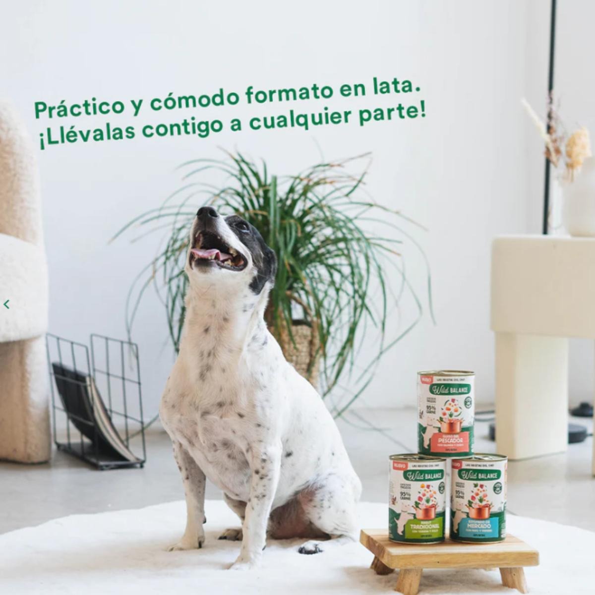 Pack 6X Estofado de mercado con pavo y ternera para perros Wild Balance 400 g