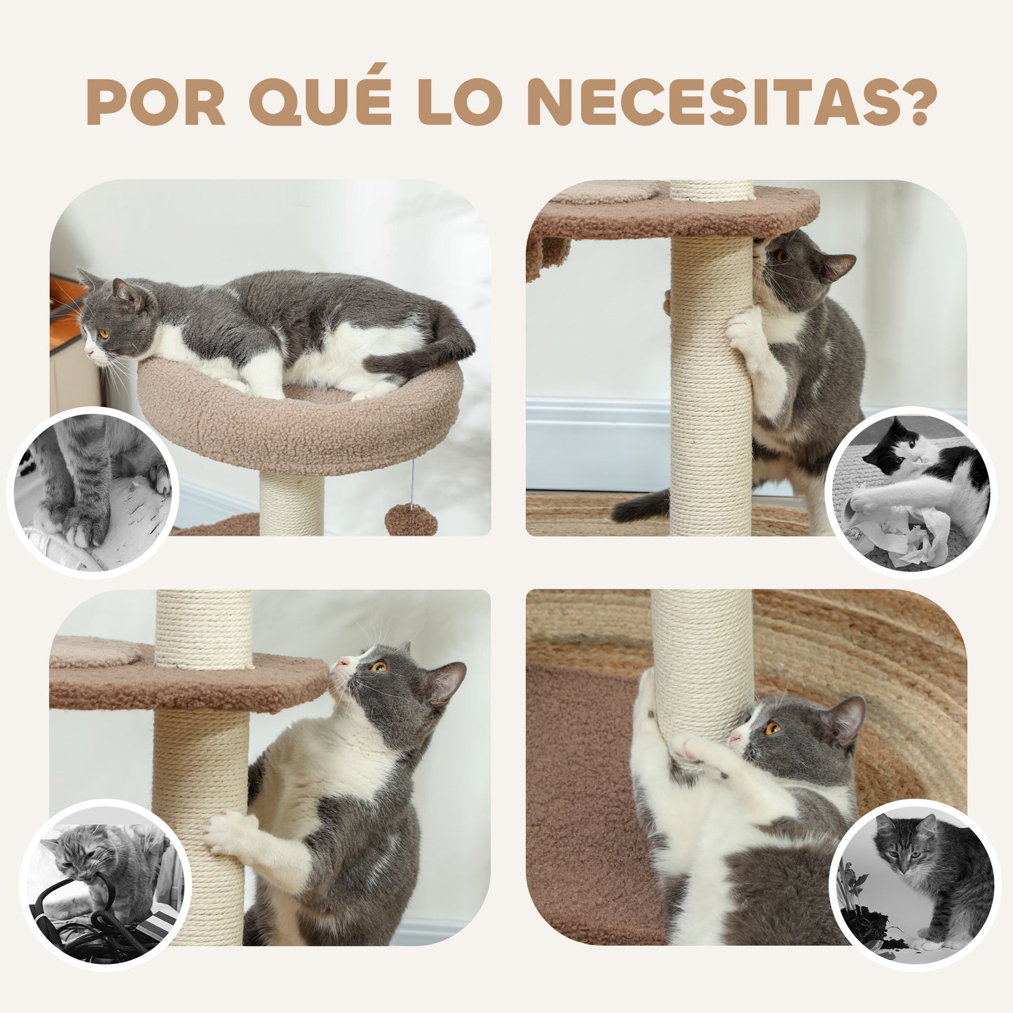 Pawhut Árbol Rascador Para Gatos Altura 88 Cm Con Nido Escalera Café_5