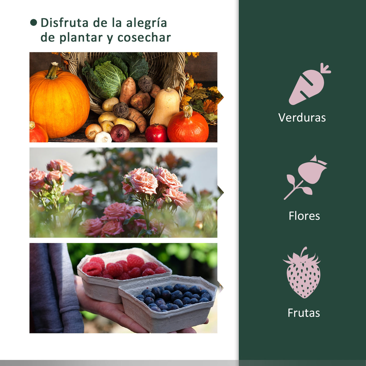 Outsunny Mini Invernadero 200x100x80 Cm Para Jardín Cultivo De Plantas Verde_5