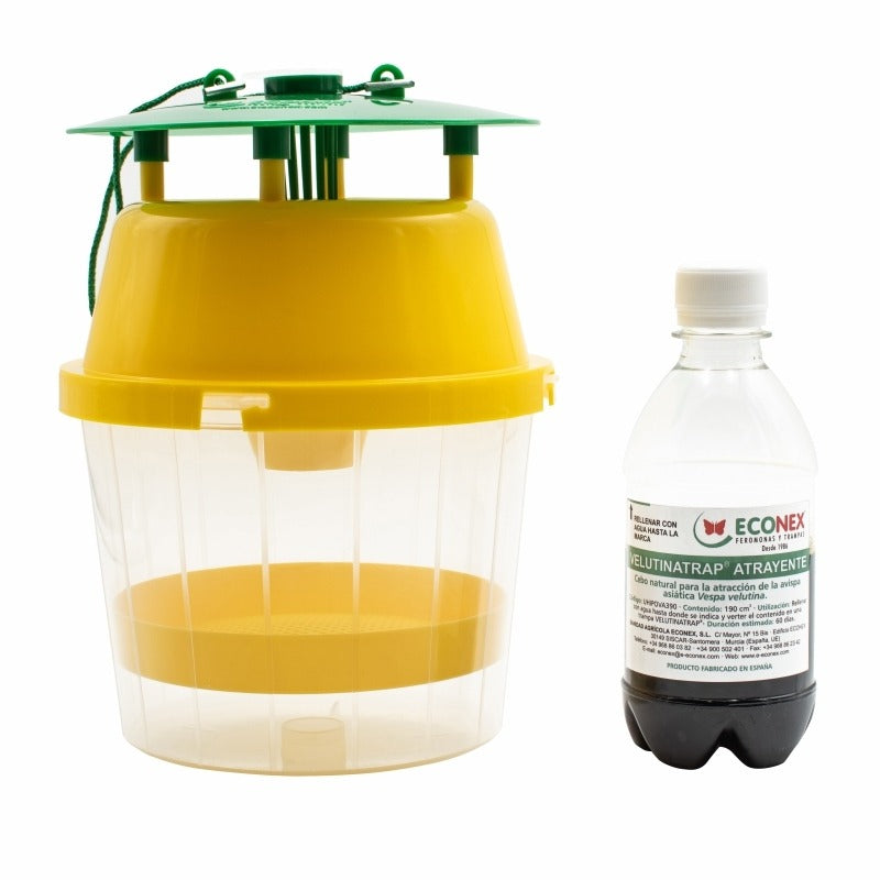 Velutinatrap Kit Atrayente + Trampa para avispa asiática velutina 2 uds