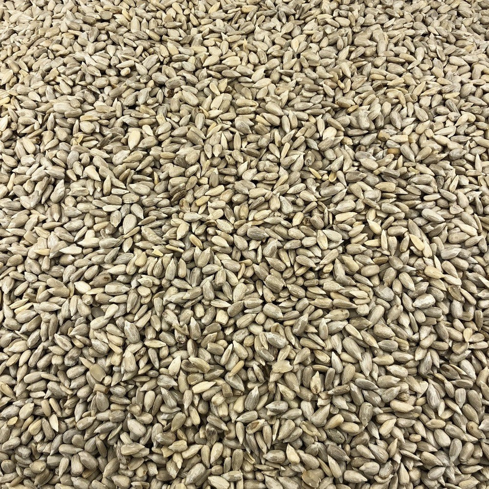Semillas De Girasol Bio Granel 0,125 Kg_2