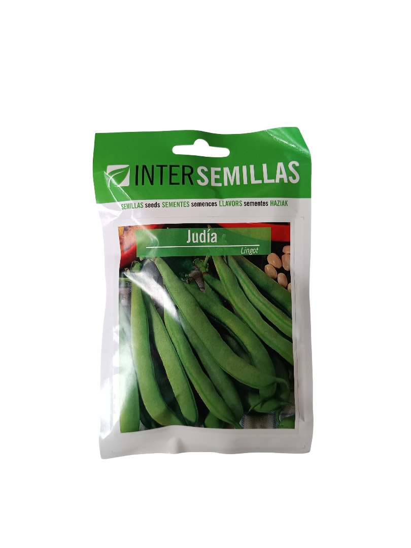 Semillas De Judia Variedad Lingot 100 Gr._0