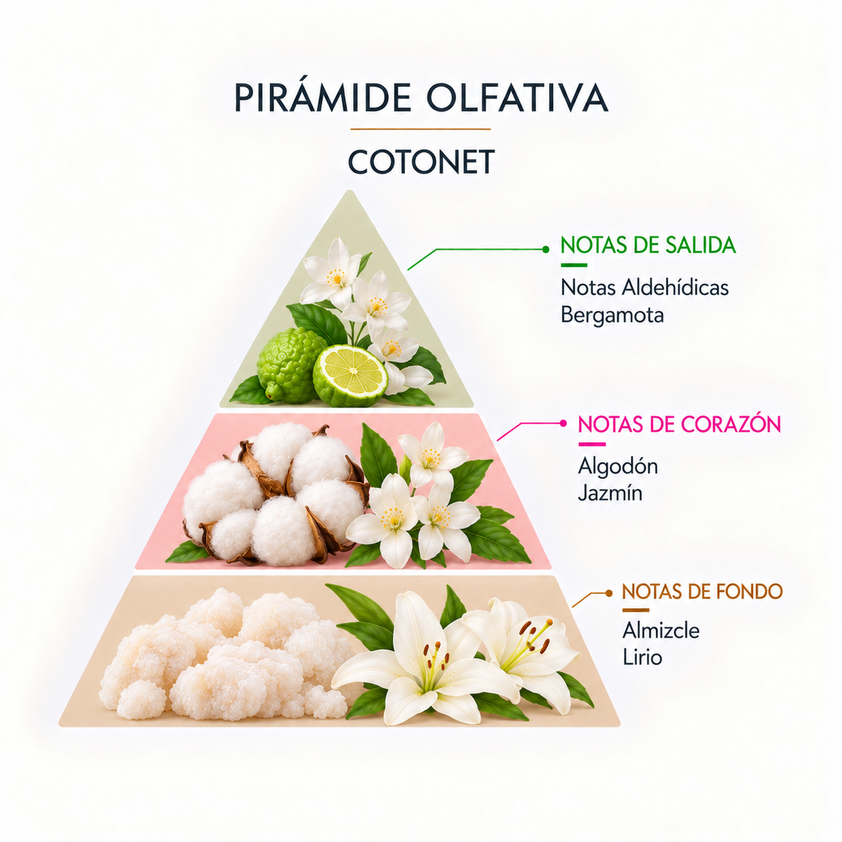 Esencia Natural Cotonet SYS Aromas 12 ml | Aroma Fresco y Limpio | Para Quemadores y Humidificadores_3