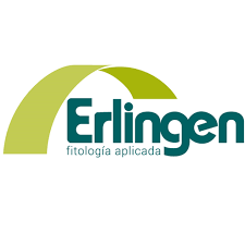 ERLINGEN