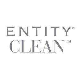 Entity Clean