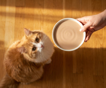 Sopa Cremosa para Gatos Creamy Bisque Pollo e Hígado Catit 4 x 40 g