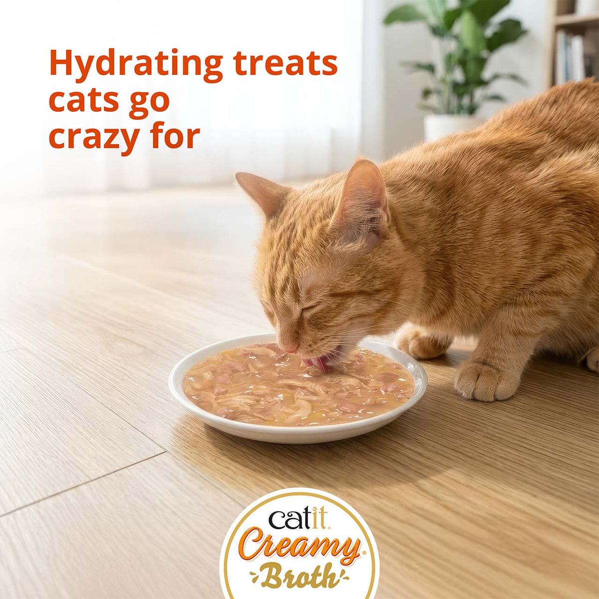 Caldo Cremoso para Gatos Creamy Broth Pollo e Hígado Catit 4 x 40 g