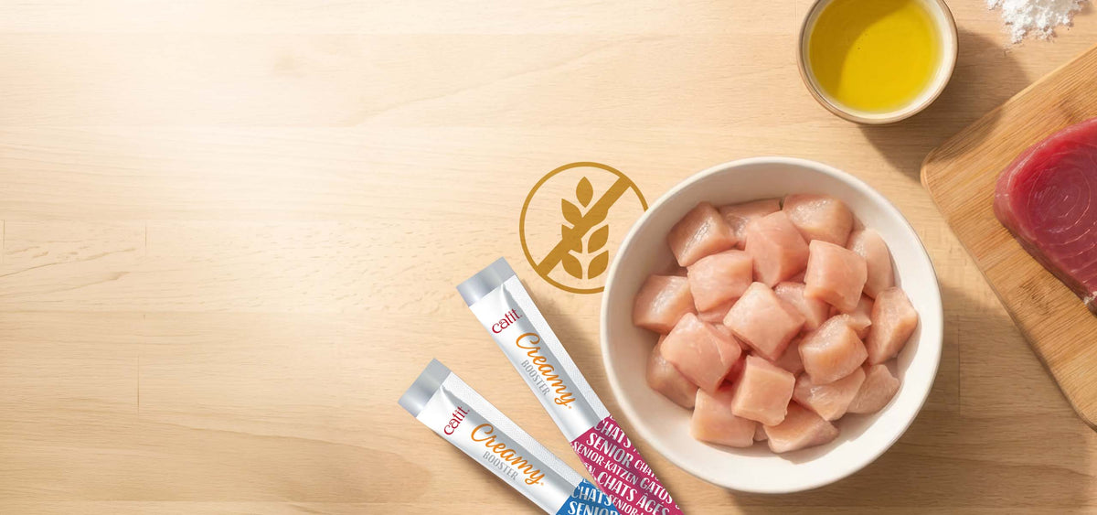 Snack Líquido para Gatos Senior Creamy Booster Atún Catit 4 x 10 g