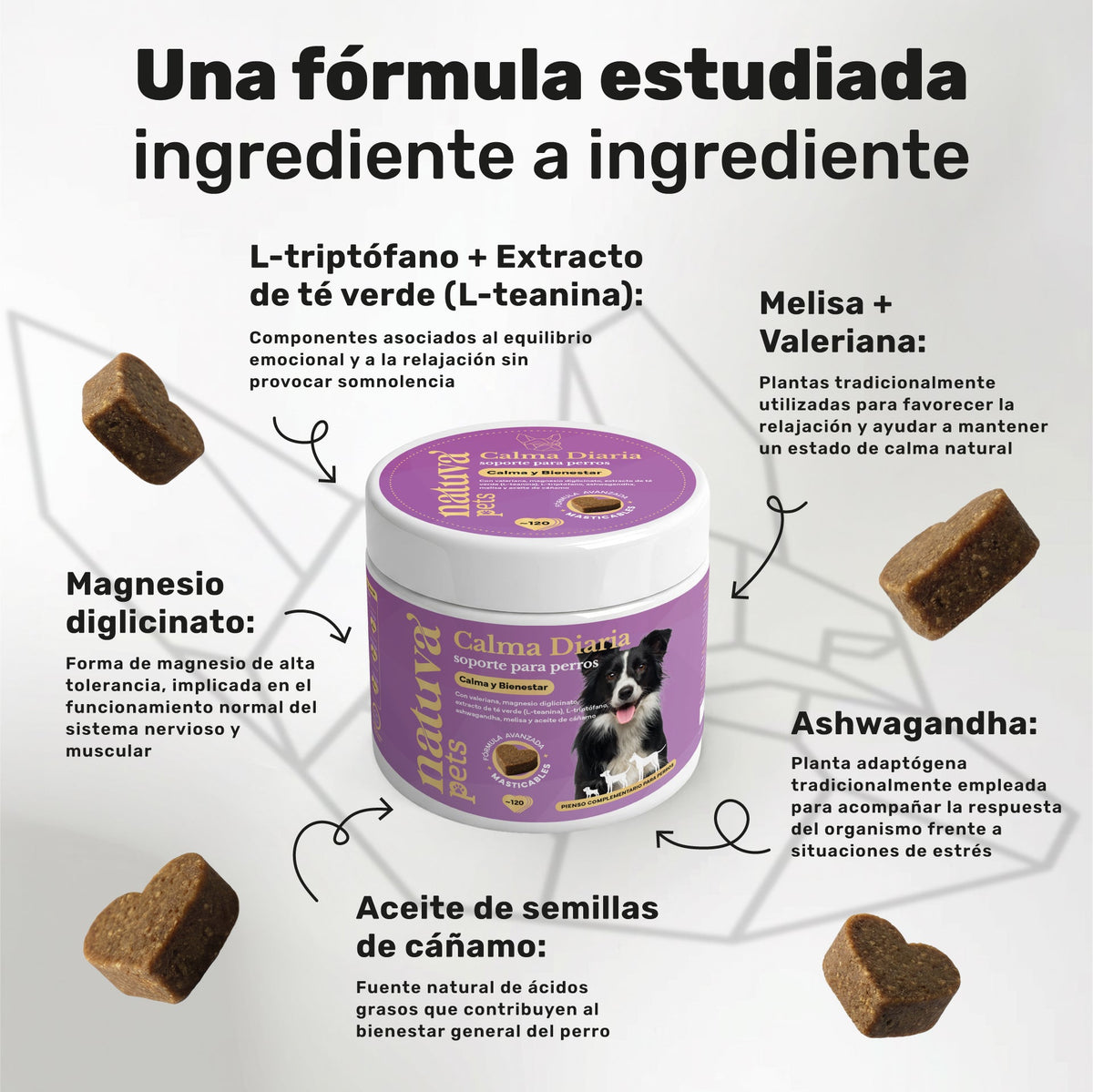 Pack Probiótico + Calmante Para Perros. Digestión Y Calma. Suplementos Mascotas. 240 Masticables. Natuva Pets_3