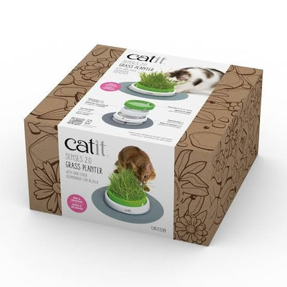 Germinador con hierba gatera Senses 2.0 Catit