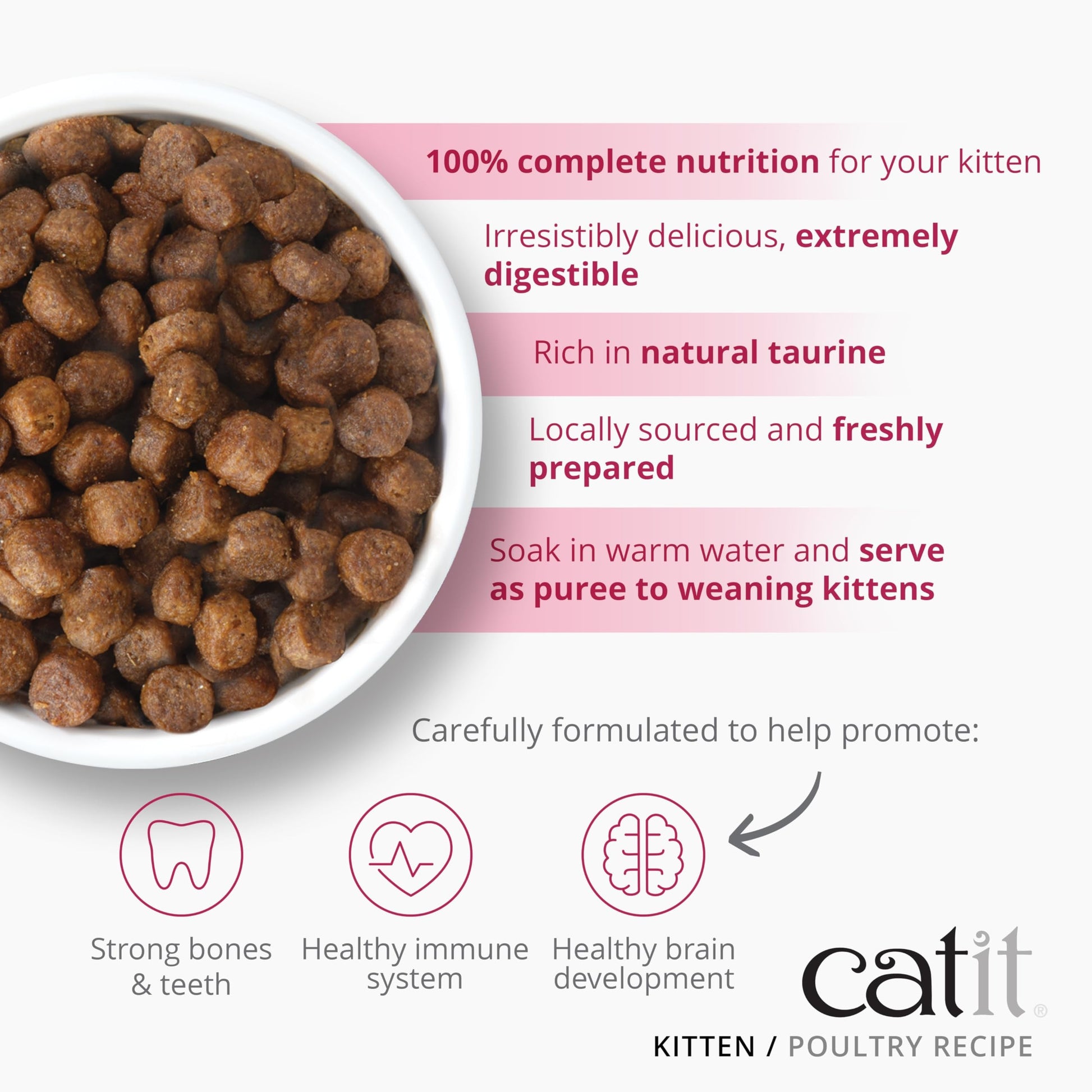 Pienso para gatitos con pollo Recipes Catit 400 g