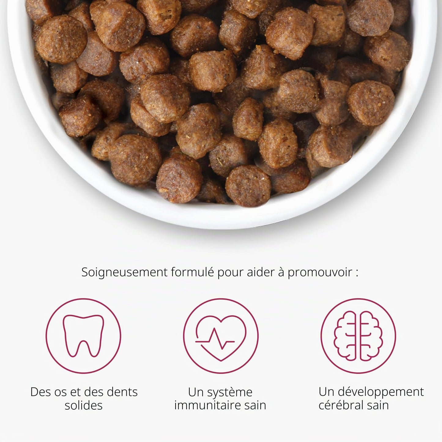 Pienso para gatitos con pollo Recipes Catit 400 g