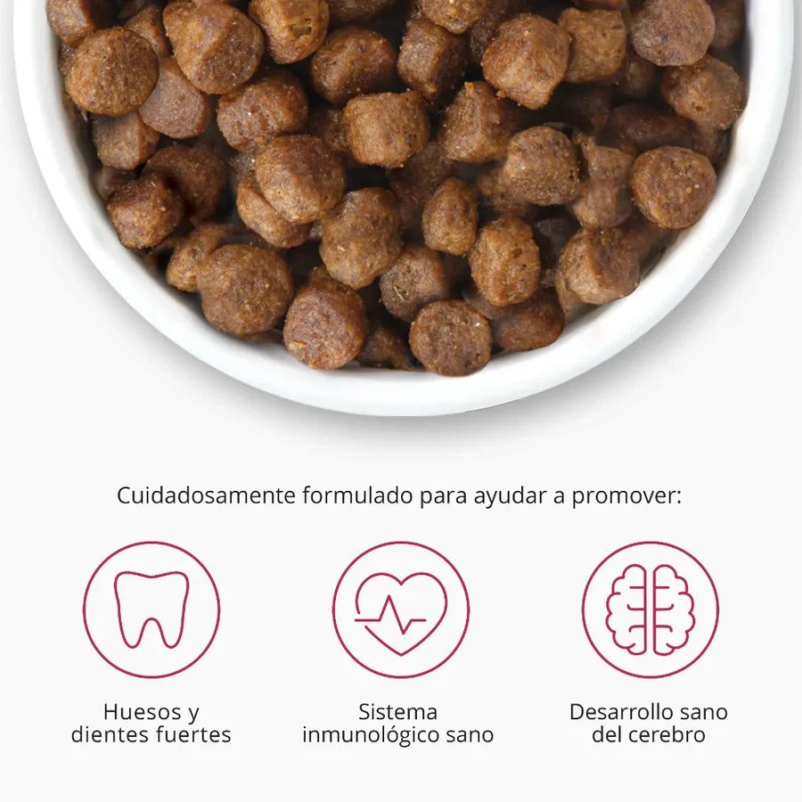 Pienso para gatitos con pollo Recipes 2 kg Catit