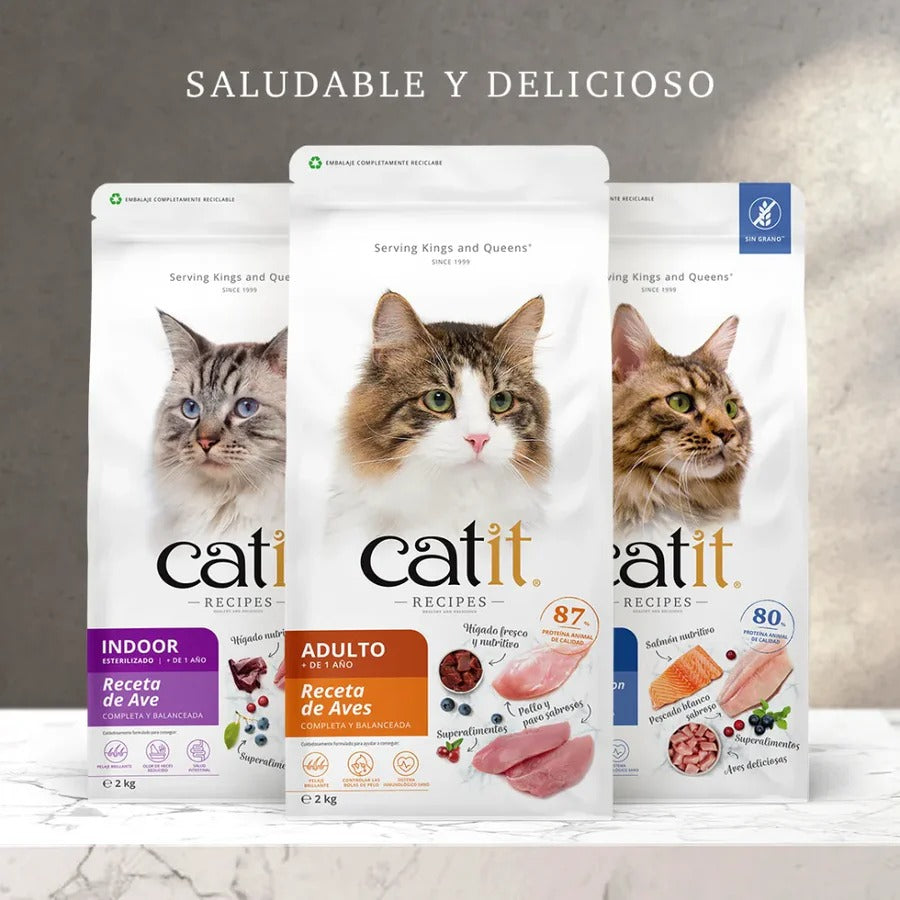 Pienso para gatos adultos con aves Recipes 2 kg Catit