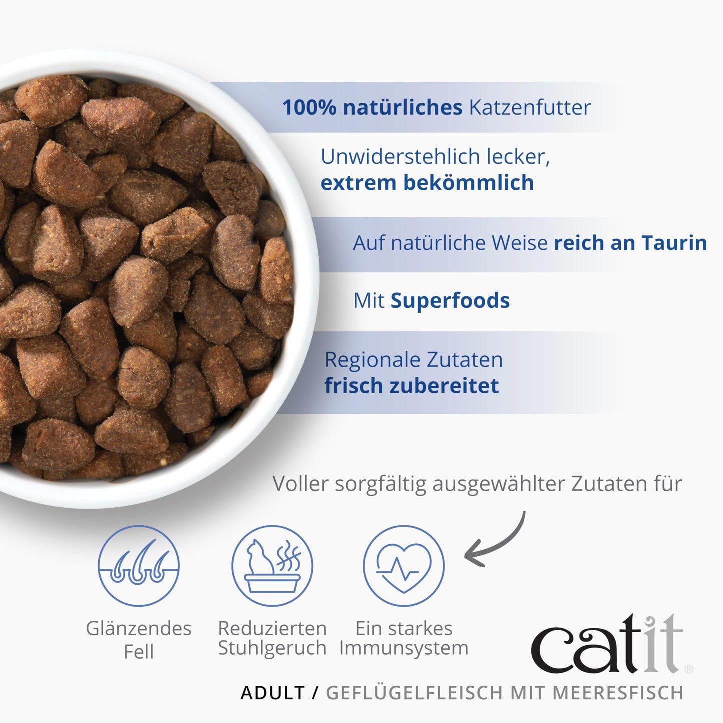 Pienso para gatos adultos con pescado de mar Recipes 400 g Catit