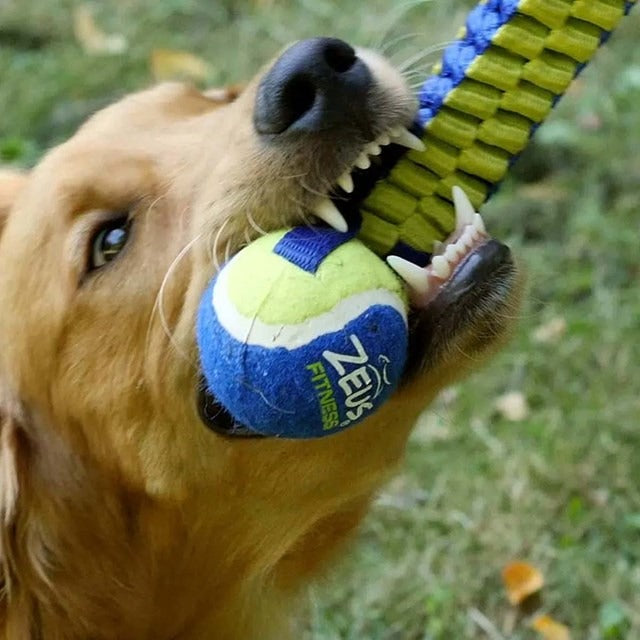 Fitness Tennis Doble Nylon Twist Tug para Perros Zeus 25cm