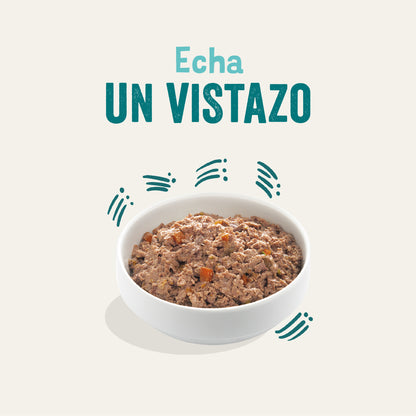 Tarrina de comida para perros con pescado orgánico sin cereales | Edgard &amp; Cooper 100 g