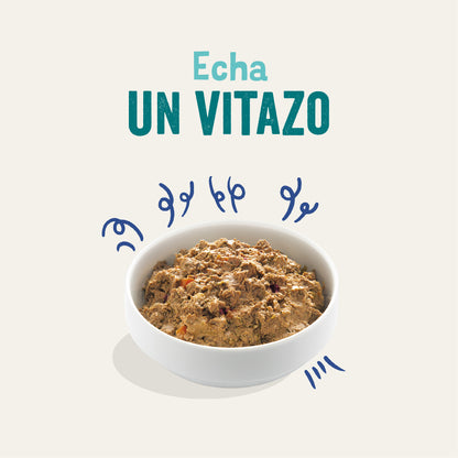 Tarrina de comida para perros con salmón y pavo sin cereales | Edgard &amp; Cooper 150 g