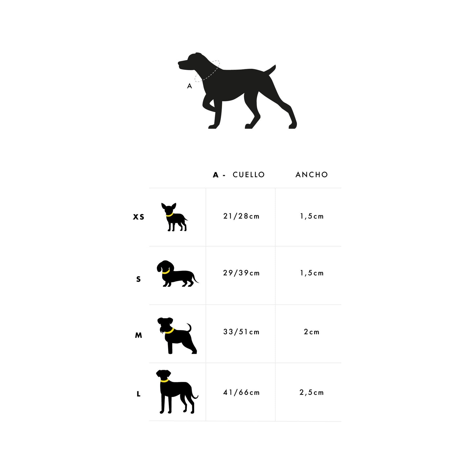 Collar para perro SKULLS Dukier XS