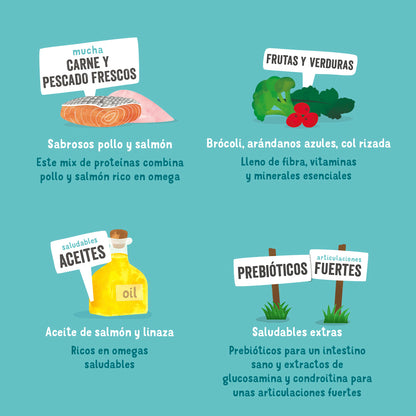 Lata de comida para perros senior con pollo y salmón sin cereales | Edgard &amp; Cooper 400 g