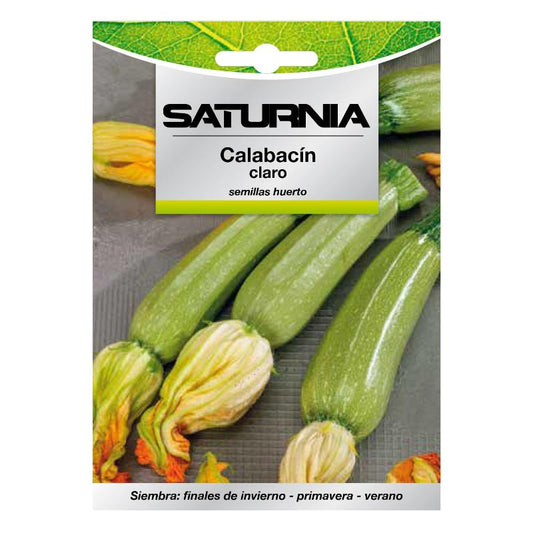 Semillas Calabacin Verde Oscuro (5 Gramos) Semillas Verduras, Horticultura, Horticola, Semillas Huerto._0