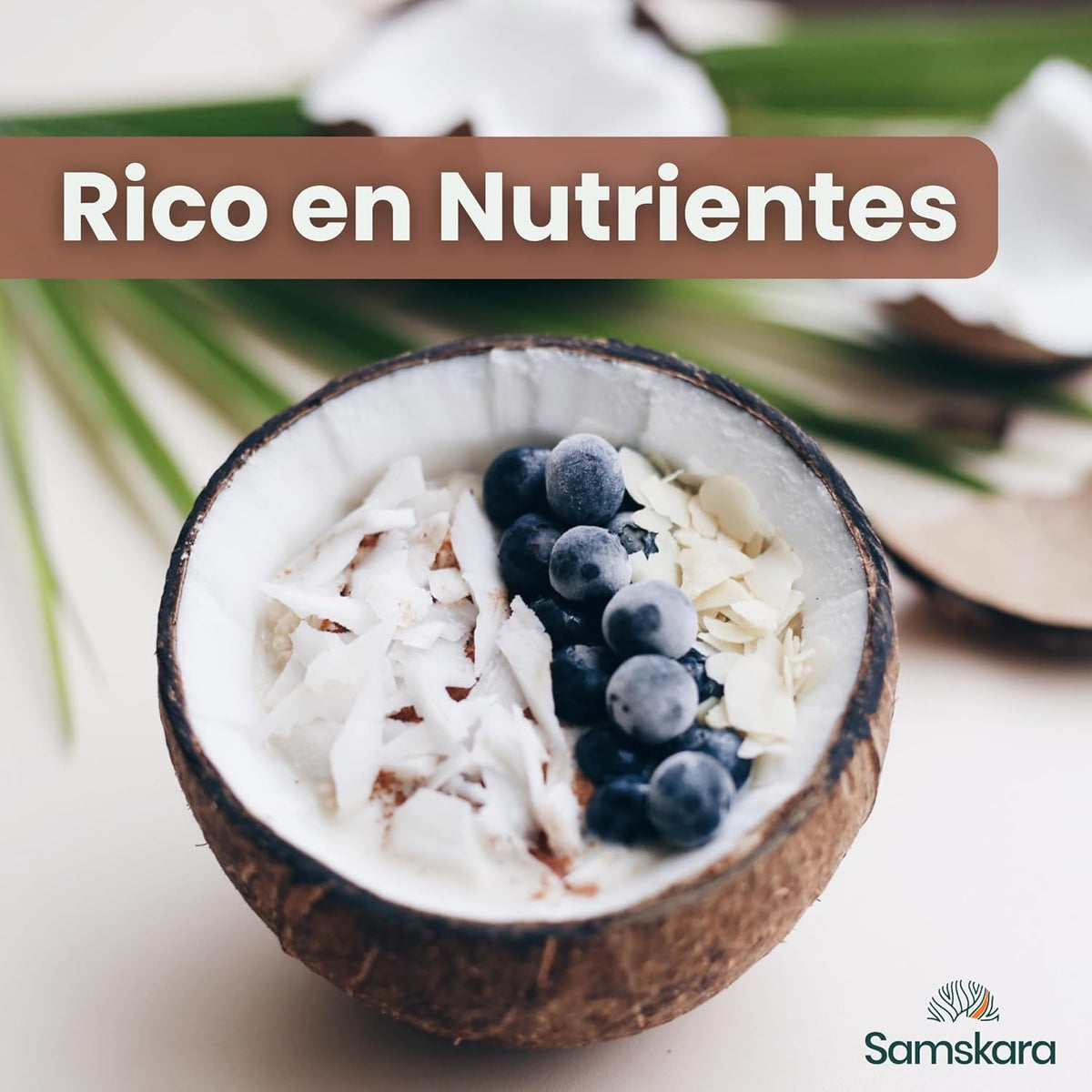 Leche De Coco En Polvo Bio - 10kg (1kg Envase Retail + 9kg Bolsa Granel De Recarga) | Bebida Vegetal Ecológica Vegana_3