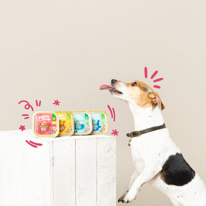 Tarrina de comida para perros con ternera orgánica sin cereales | Edgard &amp; Cooper 100 g