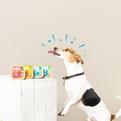 Tarrina de comida para perros con pescado orgánico sin cereales | Edgard &amp; Cooper 100 g