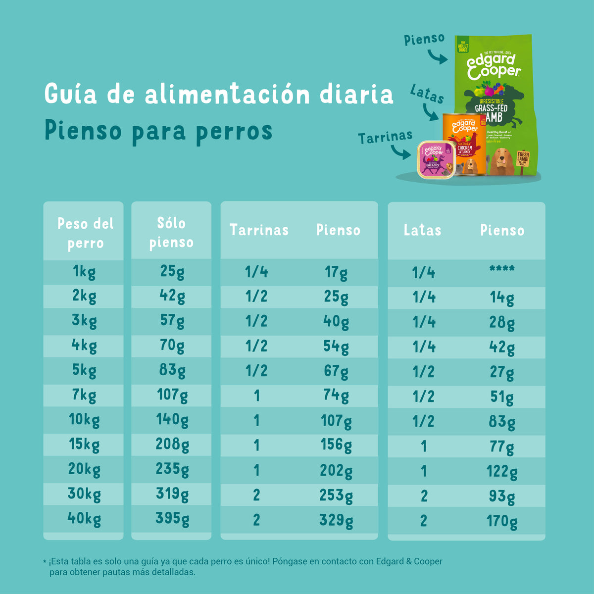 Tarrina de comida para perros con salmón y pavo sin cereales | Edgard & Cooper 150 g