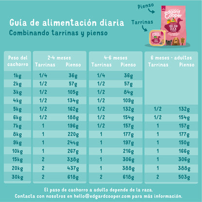 Tarrina de comida para perros con pavo orgánico sin cereales | Edgard &amp; Cooper 100 g
