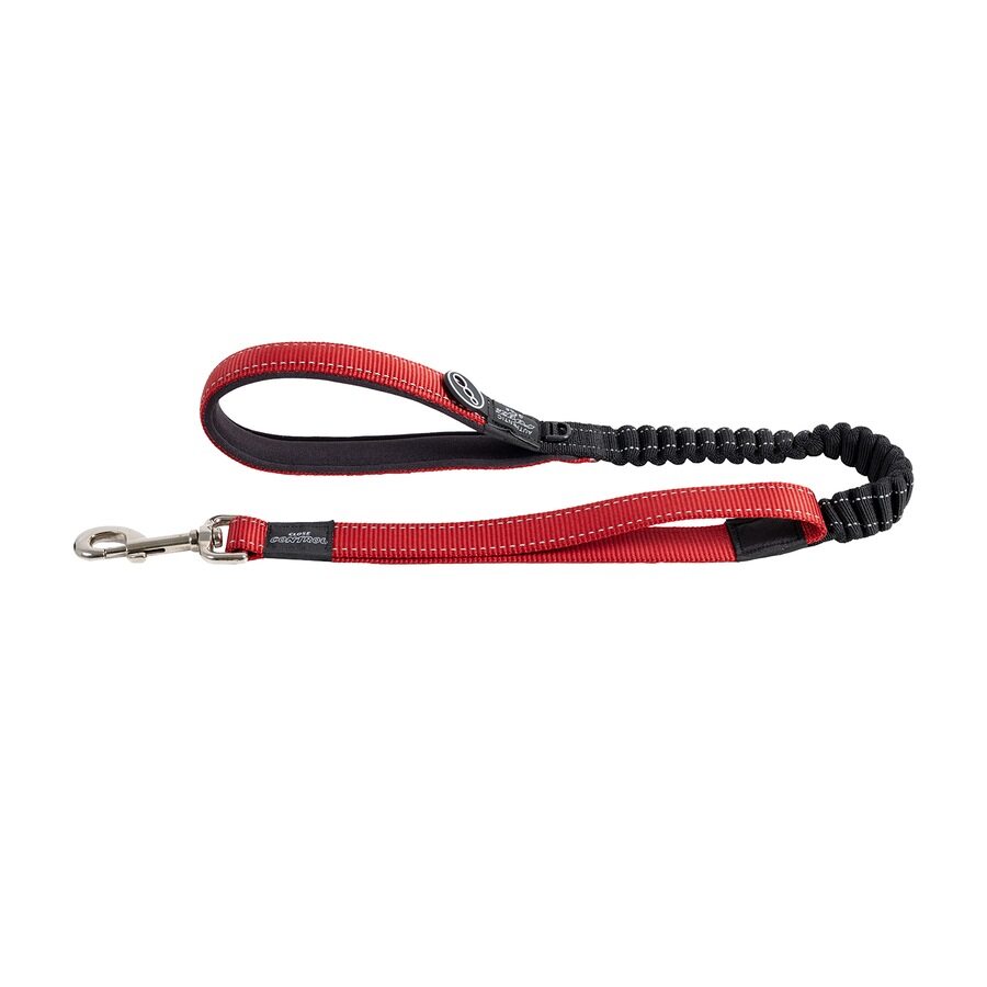 Rogz Correa Bungee Azul Xl_2