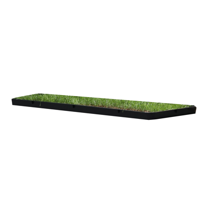 Petground, Arenero Para Gatos, Cama De Césped Natural, Hierba Gatera, Alfombra Olfativa Xl Xl: 117 X 40 Cm_1