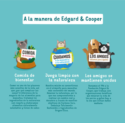 Tarrina de comida para perros con salmón y pavo sin cereales | Edgard &amp; Cooper 150 g