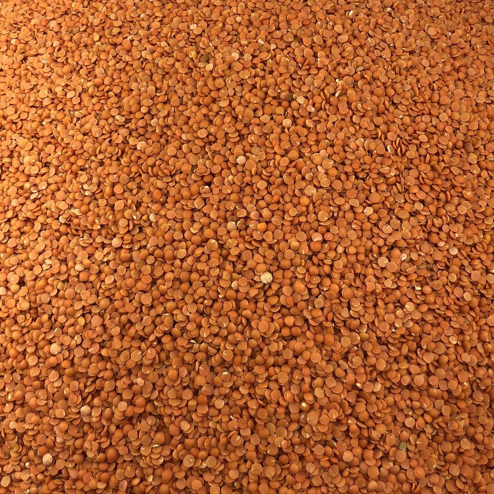 Lenteja Coral Bio Granel 10 Kg_2