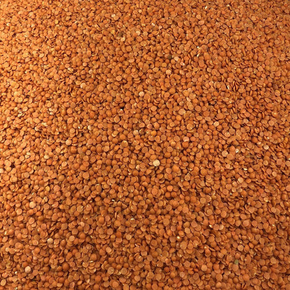 Lenteja Coral Bio Granel 10 Kg_2