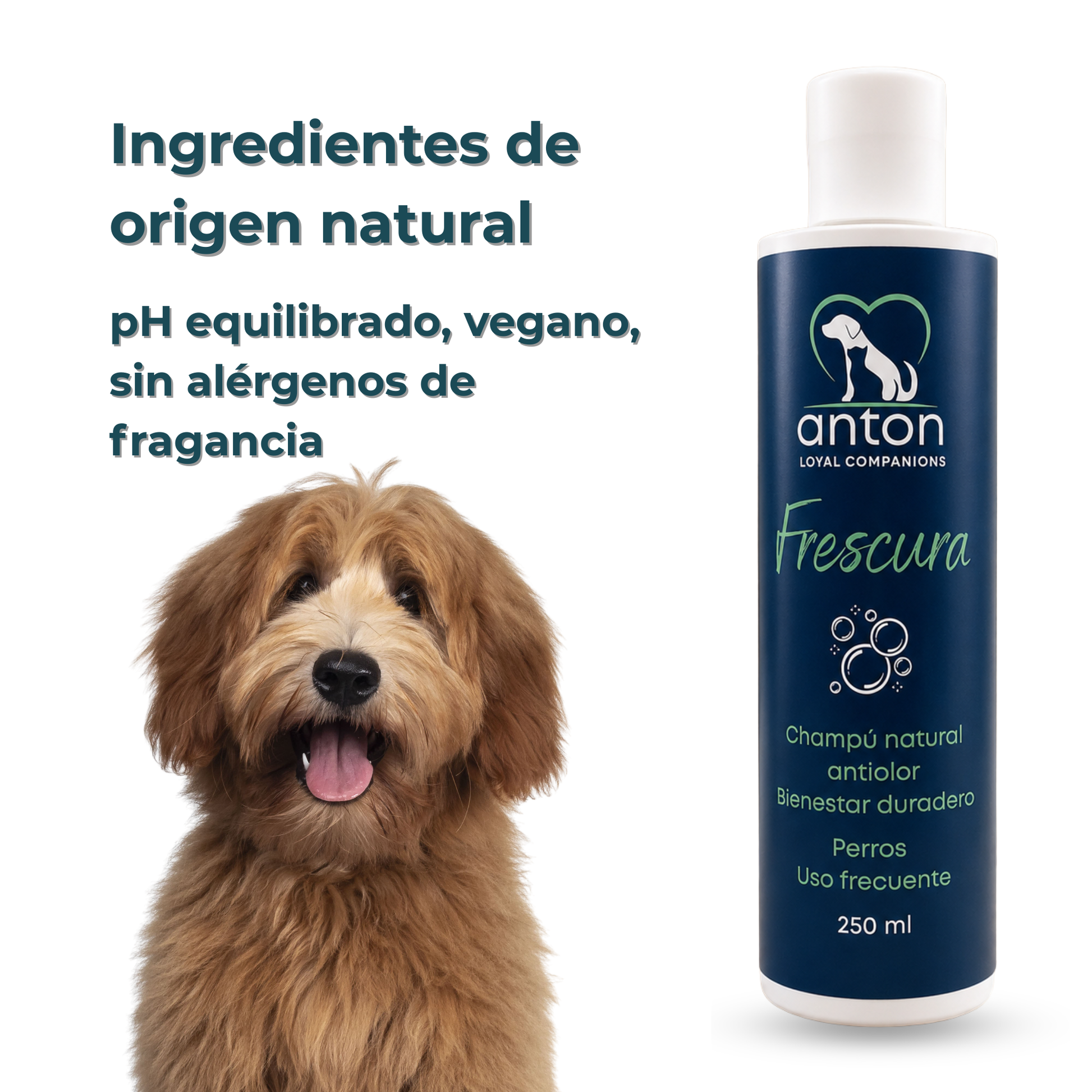 Champú natural para el control de olores en perros – Pack 3 x 250 ml_4