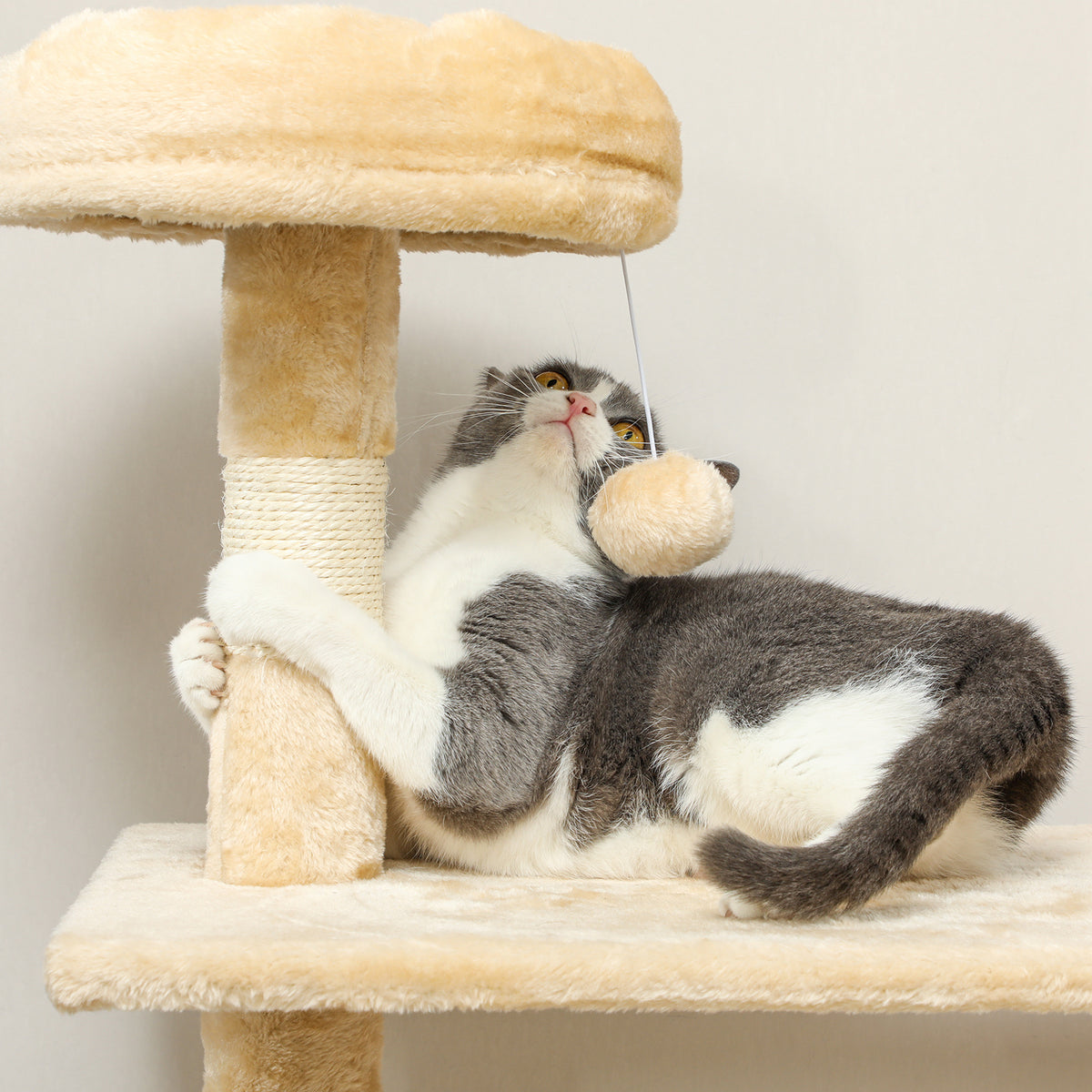 Pawhut Árbol Rascador Para Gatos Grande 70x40x152cm Con Múltiples Plataformas_3