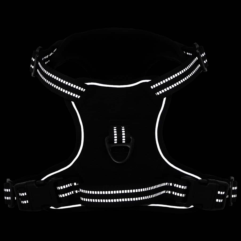 Arnés Para Perros Con Correa Y Collar Ajustable Negro Xl_4