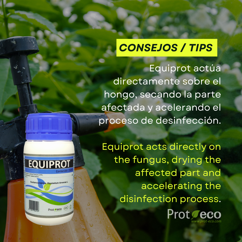 Fortificante ecológico de cola de caballo para plantas Equiprot Prot-Eco (100 ml)+pipeta dosificadora 5ml gratis_2