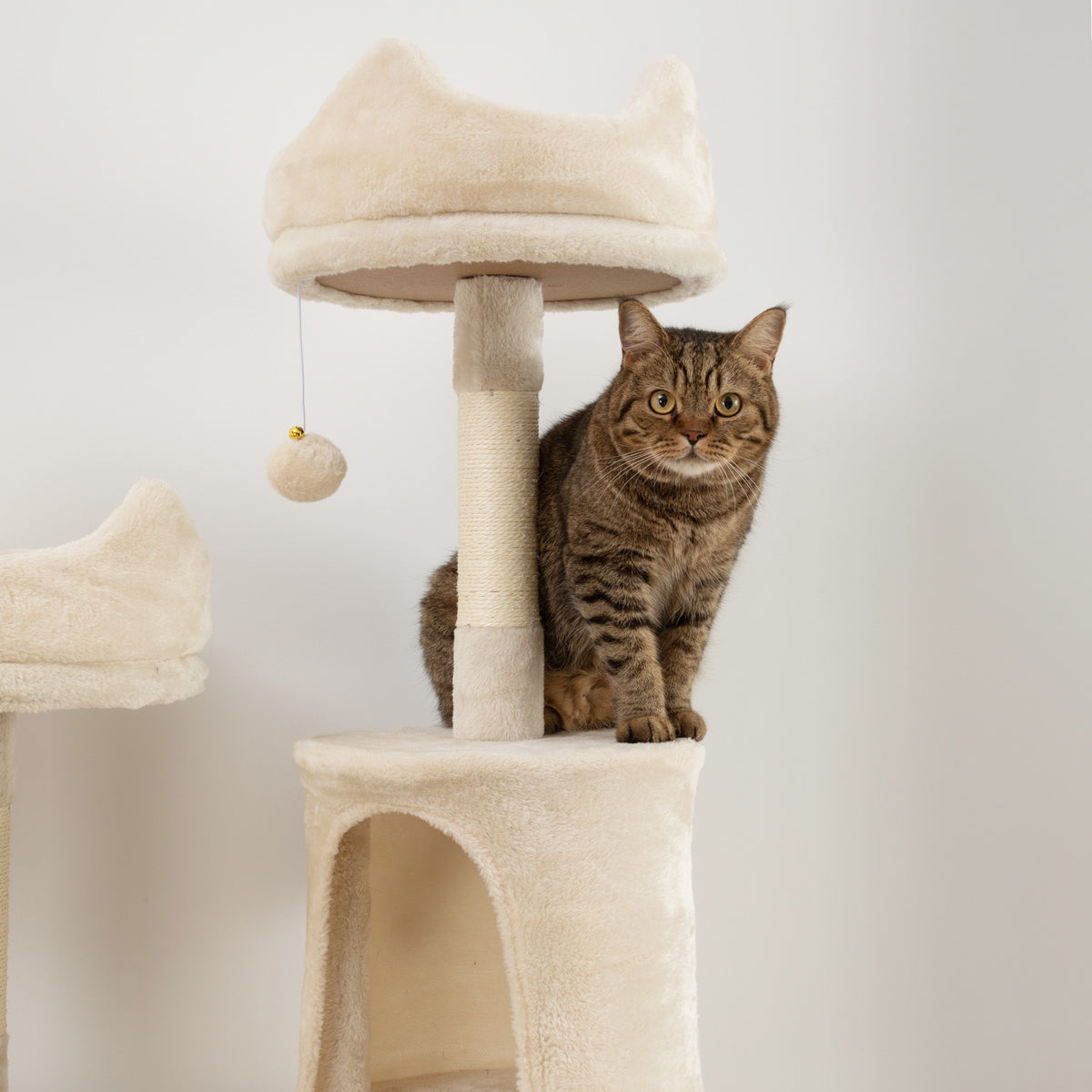 Pawhut Árbol Rascador Para Gatos Grande Altura 206 Cm Con Hamacas Beige_4